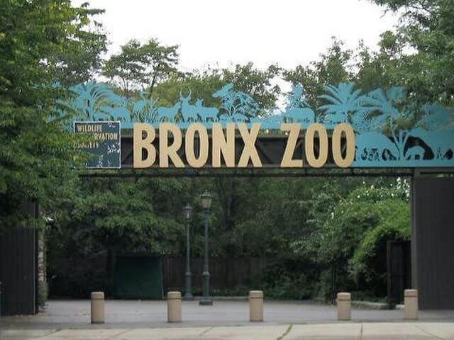 Asia Gate Entrance, Bronx Zoo / Wikimedia / Stavenn
Link: https://commons.wikimedia.org/wiki/File:Stavenn_Bronx_Zoo_00.jpg