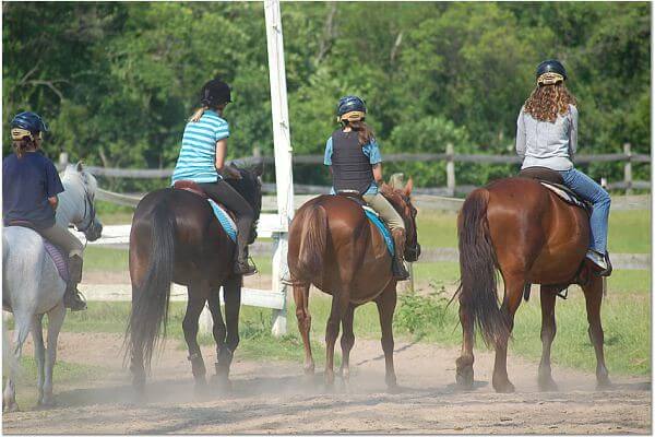 Riding Horses in Jamaica Bay Riding Academy / Flickr / jamaicabayridingacademy
Link: https://flickr.com/photos/29390576@N03/2747521478/in/photolist-y4xGgM-y316CY-72oe7s-x6ZYLM-72gBDK-71ZX9U-cZpKiq-cZpKMb-cZpKA9-cZpKqU-21g4F7H-5bHufB-5bHurH-FpXbw4-5bMKu5-5bMLDL-5bHtDp-5bMLpY-5bHtEz-5bHtAr-5bMLBw-5bMKrU-5bMKsW-5bMLrj-5bHtCc-5bHtBe-5bMLAS-5bHuFz-5bHuvr-5bMKBw