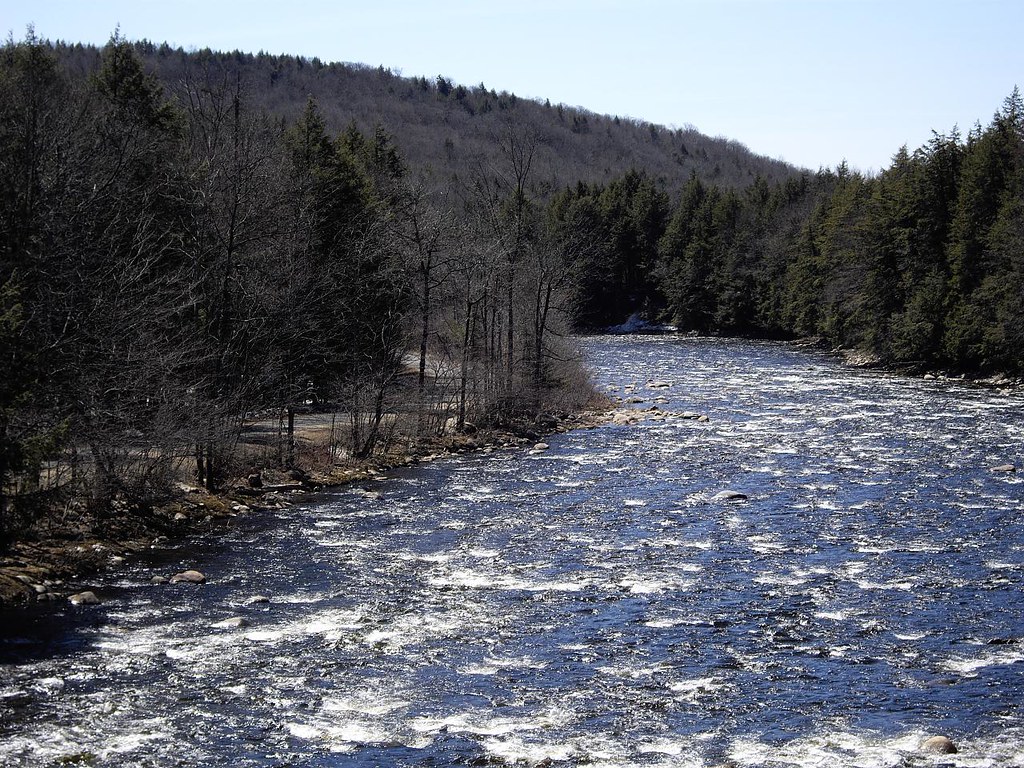 Adirondack Park Stream / Flickr / Roy
Link: https://www.flickr.com/photos/roy/3441702020/in/photolist-6f8C71-2o6bsL5-255AeJP-2nHXWM6-2jRmUyo-2iEgyxz-8sE9x7-2hST1k8-2jbB25z-8sB4yZ-8sE8ZJ-2ikmQh3-2neBGNa-2manrpe-XmZruP-2iPBCue-8sB9MM-yG8AsF-2nU6p9j-jL5YZj-2i7tEyV-5r4CS6-2jNsz96-2hh4xrf-8sEbh7-5r8Y1q-2o5KVtM-8sXbjv-8sXbWa-kJzFxv-2o5KyrJ-8sEayy-6ujjCS-b85kYD-b85jeg-b85nxM-b918nD-b85jUX-FVqumo-b85o5k-2i7XoVM-czCZFW-eeREa8-D7jf2A-2hPMY7s-8t1dAo-8t1e9y-b917ct-JacQNA-5rfYHQ