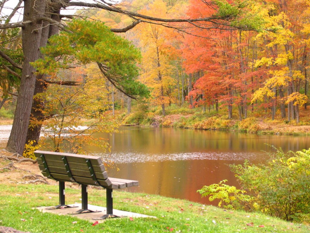 Autumn colors at Allegany State Park NY / Flickr / Mark K
Link: https://www.flickr.com/photos/17708700@N07/52488291723/in/photolist-2nYddsX-2hTHfKp-5AJqMN-pDAQhC-M9H9o9-L7EJ6c-5yfv18-aC9Tpc-7G45Rx-2hZWJiJ-5A6X6n-2mE63Y4-yTKyEz-2nUeG4F-2nXM5XT-EPP9fR-5y6b6d-5BabHc-2hGnpVE-KVVJ3M-2mHo1Gx-2nWwr7y-2hYH17a-2cbU2TK-2nXm6Ur-5zvfJ9-2hPybXV-28WiGZ2-eLrtc6-2mCR9af-R6P2AN-2nTRynV-2mJDjCz-5CCynA-3UVxbR-5KgjW1-LpEbTc-5BaaqV-5w4iQ8-MfuBBP-2apC1LK-2mDgpt2-KpXMvE-aFGQ4D-vA7aGk-Ct2zhh-29ZNTsN-2mL3jgJ-255dwze-ZxoHrH