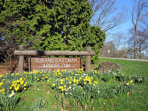 Arboretum Sign Durand Eastman Park / Wikimedia Commons / DanielPenfield
Link: https://commons.wikimedia.org/wiki/File:ArboretumSignDurandEastmanPark.jpg