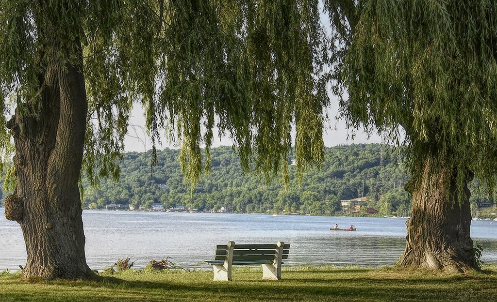 People boating at Beautiful Stewart Park /  Flickr /  Jo Zimny\
Link: https://www.flickr.com/photos/joeyz51/42926358850/in/photolist-28pfNXm-Dj6snT-2b7tBo5-MfT9jC-Nsee2t-285t7o7-M51Nfj-28wqg29-24Kvivm-eCA6by-HxDxkW-YMSXQu-Z8XXVS-ZjekLV-24APULj-Zjen6D-j6sZUg-21by4dY-ZyApad-o6zCcE-Z8XZms-Z7tCAA-YerqTf-CXEiT8-25FJAkk-27tyAtB-V7KFVM-Z555Ab-26qNJ3Z-eFG1te-C5FFqb-XT8rtg-2eaaKtL-XupiH1-Y25XCA-XT8qdk-YMSZ1A-N6RHPU-2b9iY11-27tszam-2Uwmz8-XQnezh-2ef8gVg-24Kua2u-Q5mqRJ-ZeVdhS-86kSoM-2aek5Be-28RcRHM-298NYg9