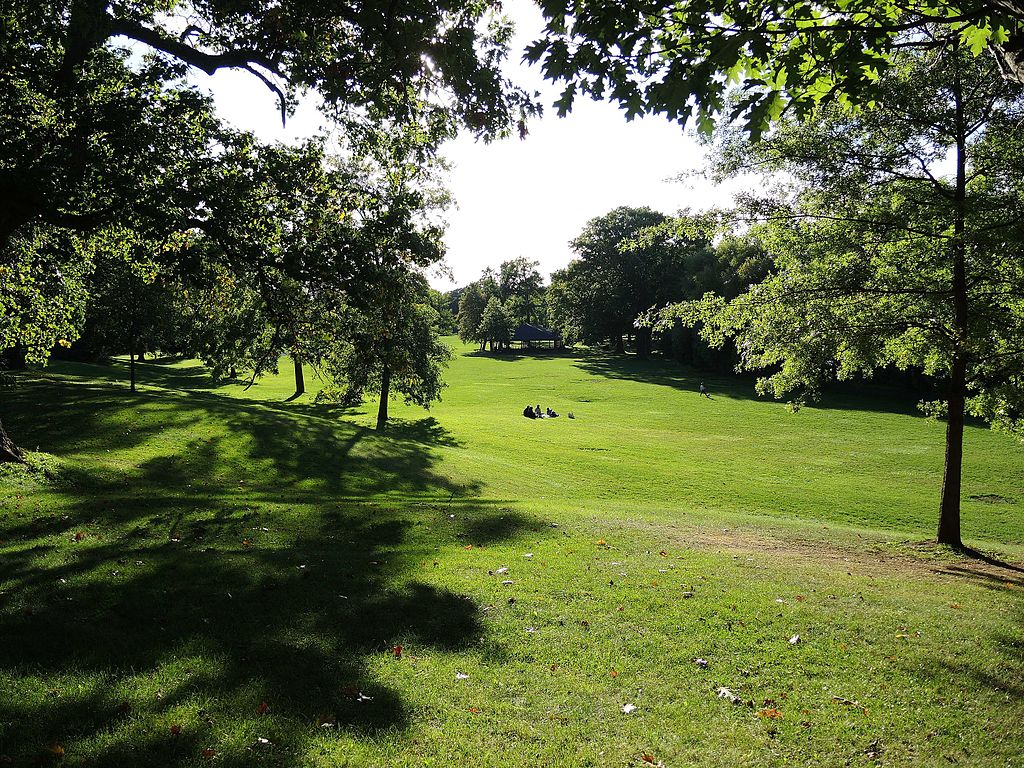 Beautiful moment of Genesee Valley Park Picnic / Wikimedia Commons / DanielPenfield
Link: https://commons.wikimedia.org/wiki/File:GeneseeValleyParkPicnic.jpg