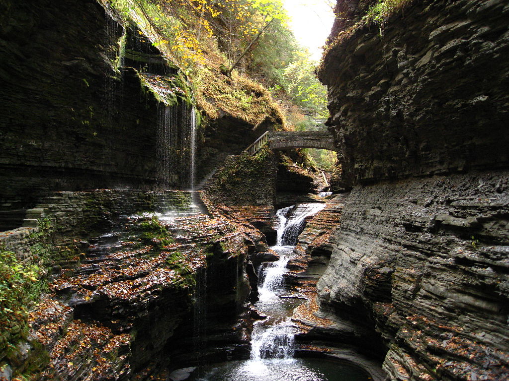 Beautiful falls at Watkins Glen Bridge / Wikimedia Commons / BrianAdler
Link: https://commons.wikimedia.org/wiki/File:Watkins_Glen_Bridge.JPG