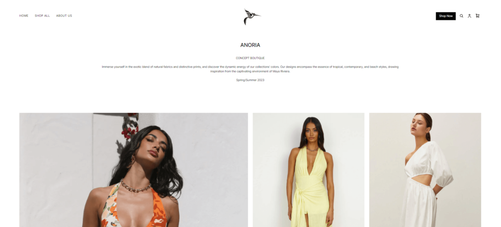 Homepage of Anoria Boutique / anoriaboutique.com