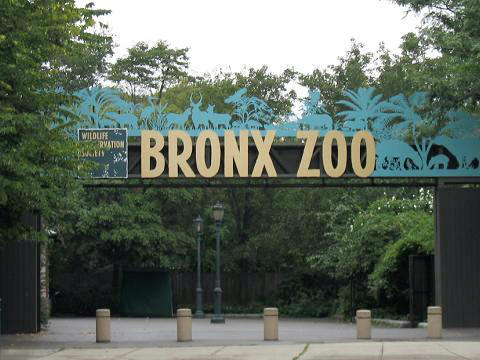 Outside view of Bronx Zoo / Wikimedia Commons / Stavenn
Link: https://commons.wikimedia.org/wiki/File:Stavenn_Bronx_Zoo_00.jpg 
