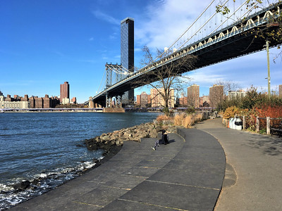 A view of Brooklyn Bridge Park / Flickr / Shalom Stavsky 
Link: https://flic.kr/p/2mdKDmJ 
