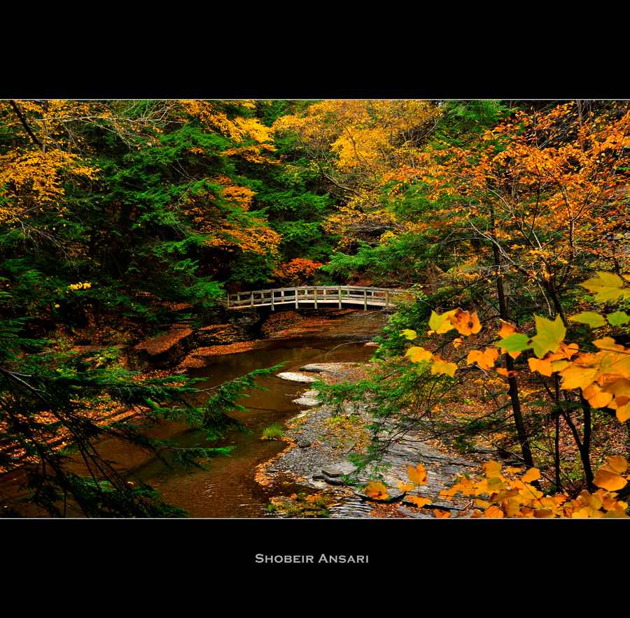 Autumn view of Buttermilk Falls State Park / Flickr / Shobeir Ansari
Link: https://www.flickr.com/photos/shobeir/5228507495/in/photolist-8Y2t7X-25ewLh3-26TS1sh-94KdN9-9vgMb5-27UYAHd-24oBLee-KB38k7-78ZAKD-2f4iUbB-78ZtCt-78Zqp4-2nyN3Z1-2nyKCeG-2nyKAy2-pxmfqL-794nXE-78Zydr-78Zr8x-sBjk1V-794q73-78ZBmn-794ujh-78ZpVc-794pi5-794kp3-78Zwaa-794gkA-6Ej7r1-78Zpfa-26BGFHP-ikPKtc-2iTXW2E-8Mq5WQ-78ZyMF-794uU5-pfTNZi-2hT6cws-ffJBhW-237qB95-794eWy-78Zo7K-794vFQ-794xh5-794dQd-phRnrM-JdsV5M-78ZFsP-2hFbNDZ-VB1sFV
