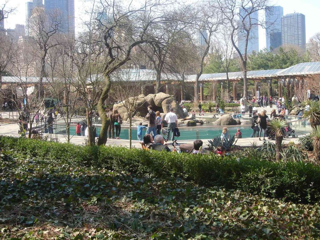 People having fun at Central Park Zoo / Wikimedia Commons / Tim Rodenberg
Link: https://commons.wikimedia.org/wiki/File:Central_Park_Zoo_area.jpg