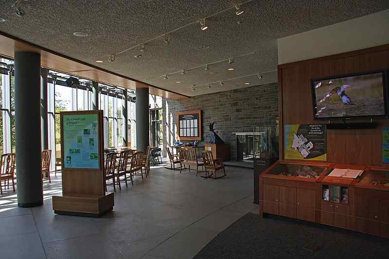 Interior view of Cornell Lab of Ornithology / Wikimedia Commons / Yerpo
Link: https://commons.wikimedia.org/wiki/File:Cornell_Lab_of_Ornithology_interior.JPG
