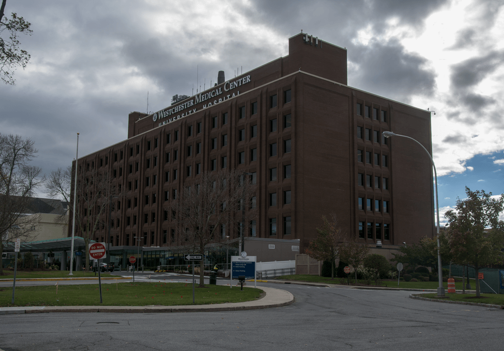 External View of Westchester Medical Center / Wikipedia / Unknown
URL: https://en.wikipedia.org/wiki/File:Westchester_Medical_Center.png