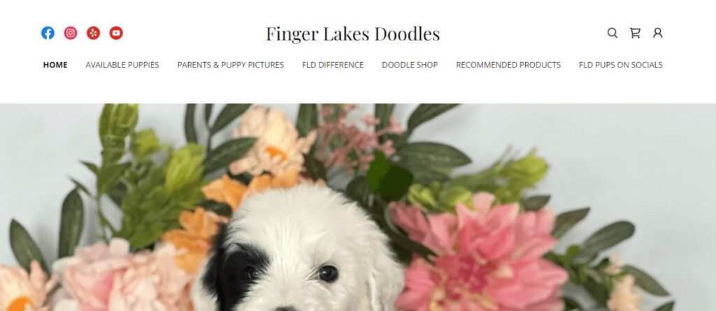Homepage of website of Finger Lakes Doodles
Link: https://fingerlakesdoodles.com/