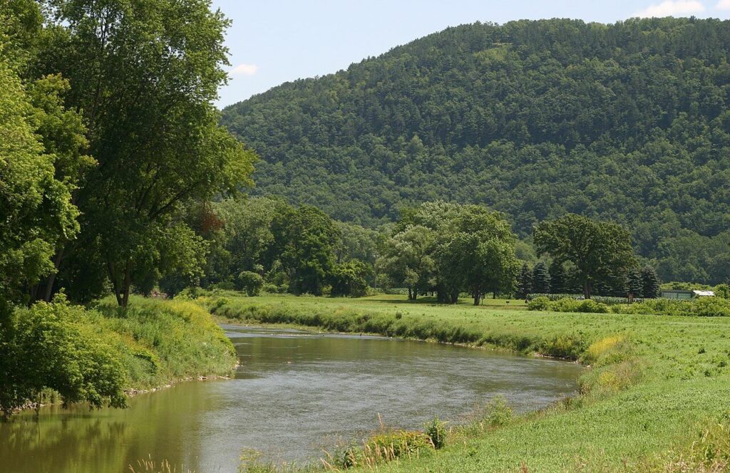 Full Canisteo River View / Wikipedia / Pollinator
URL: https://en.wikipedia.org/wiki/Canisteo_River#/media/File:Canisteo_river_1719.JPG