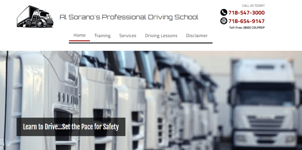 Homepage of Al Sarano Professional Driving School
URL: https://www.soranodrivingschool.com