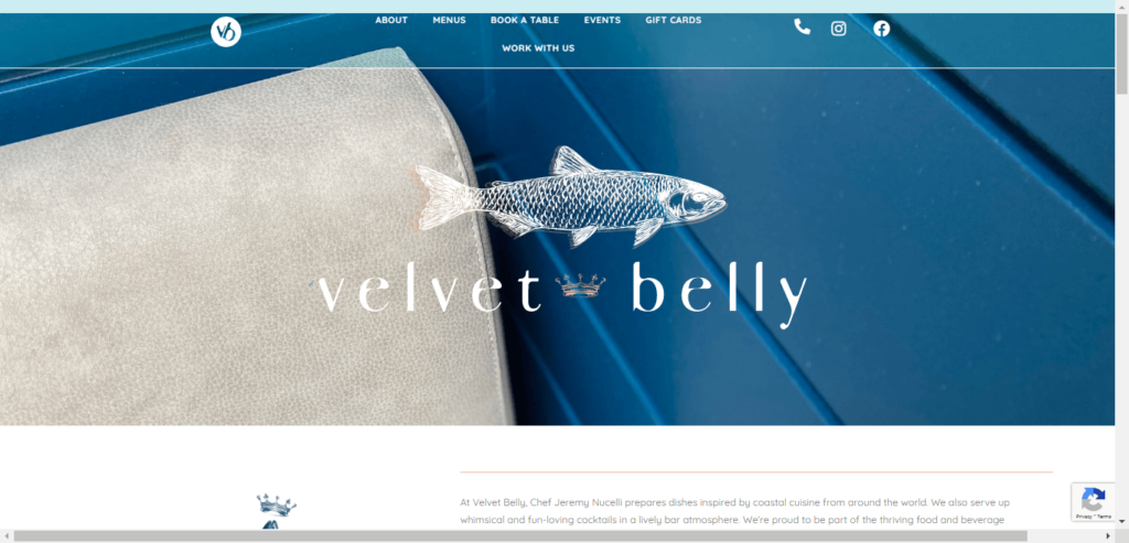 Homepage of Velvet Belly website / velvet-belly.com 