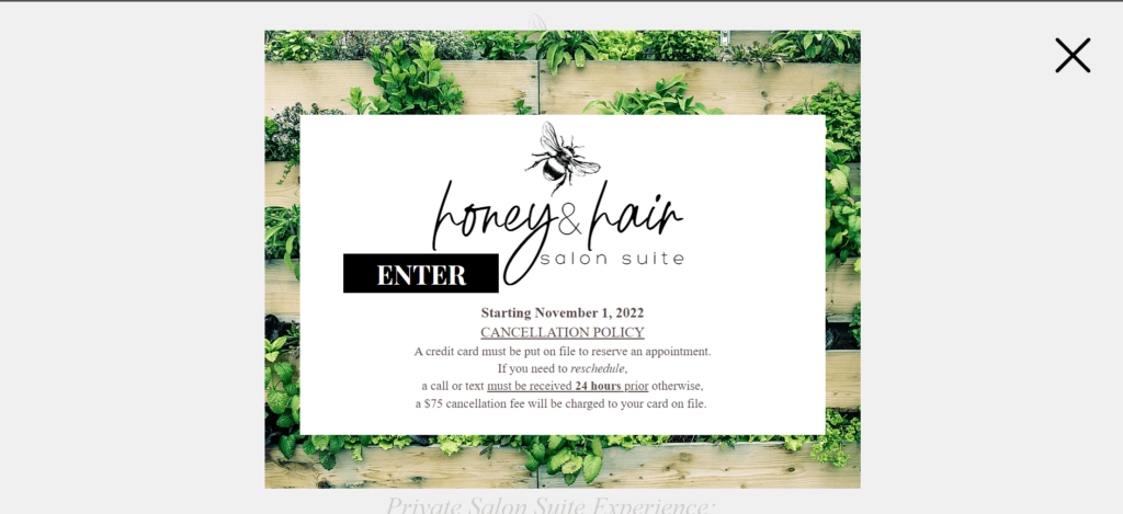 Homepage of Honey and Hair Salon Suite / honeyandhairsalon.com