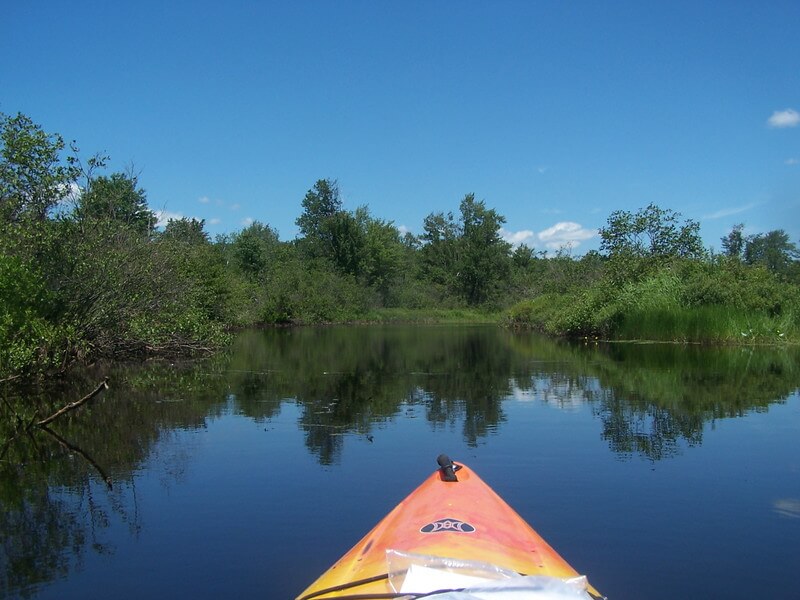 Kunjamuk River view from Kayak / Flickr / Andy Arthur
URL: https://flic.kr/p/cAwXud