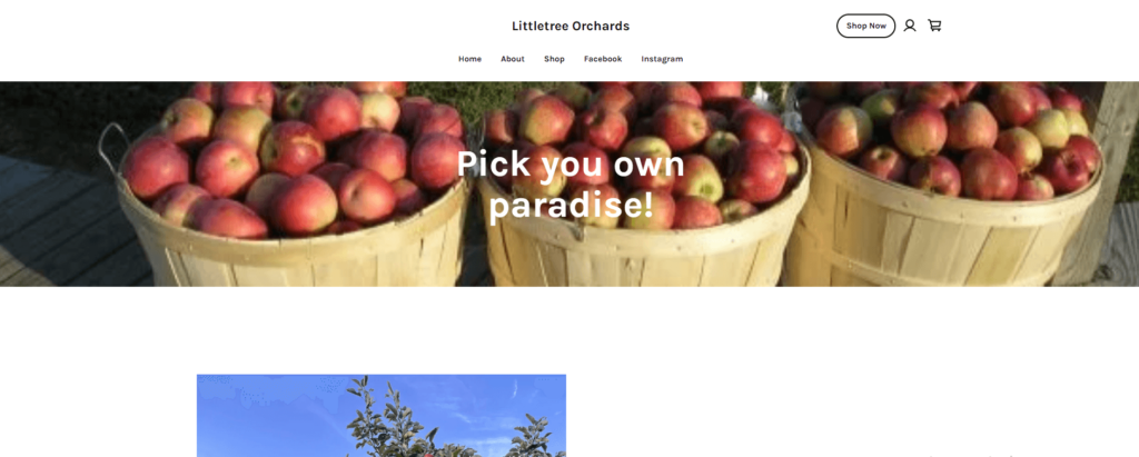 Homepage of Littletree Orchards / littletree-orchards.com