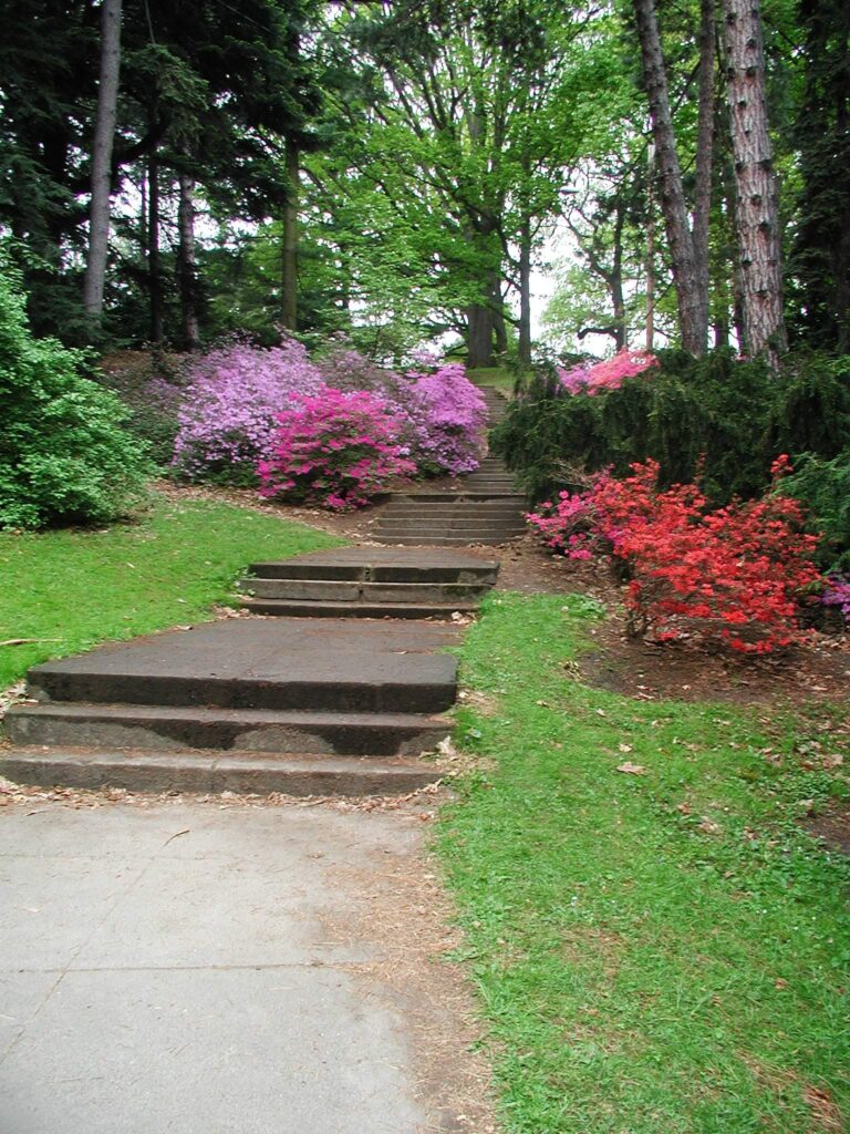 An outdoor stairway at Highland Park / Wikimedia Commons / Bluesleeper 
Link: https://commons.wikimedia.org/wiki/File:Stairshighlandparkrochester2001.JPG 
