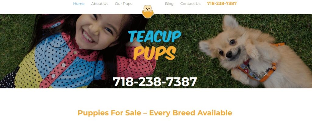 Homepage of Teacup Pups 
Link: https://teacuppups.com/