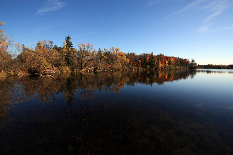 Woods View from Seneca Lake / Flickr / Vlad Podvorny
URL: https://flic.kr/p/NQohZ2