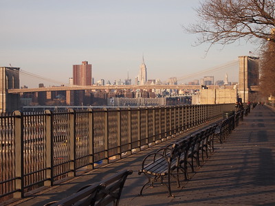 A view of Brooklyn Heights Promenade / Flickr / Edob2009
Link: https://flic.kr/p/7A1oX6 

