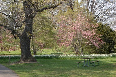 A view of Highland Park / Flickr / Kara 
Link: https://flic.kr/p/dpoHe 
