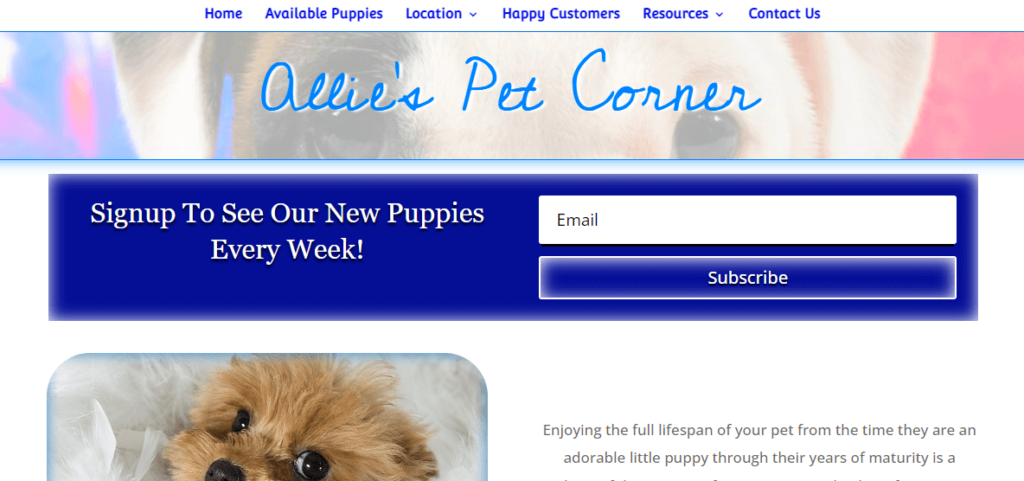 Homepage of the Allie's Pet Corner website /
Link: https://alliespetcorner.com/