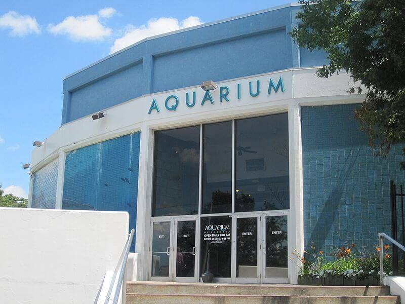 Aquarium at Niagara Falls / Wikipedia / Billy Hathorn 
Link: https://en.wikipedia.org/wiki/Aquarium_of_Niagara#/media/File:Aquarium_at_Niagara_Falls_IMG_1390.JPG