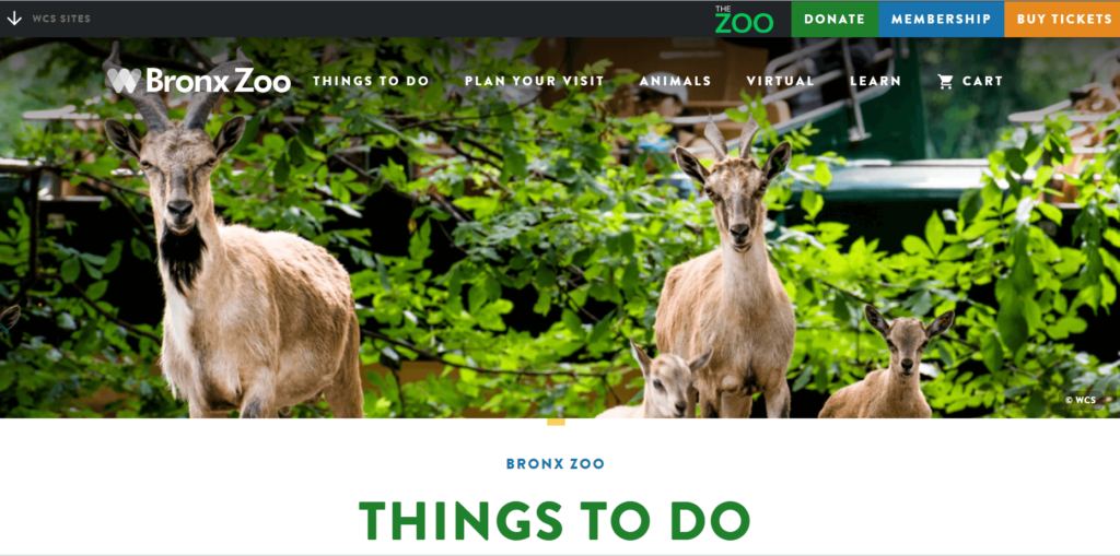 Homepage of the Bronx Zoo / bronxzoo.com
