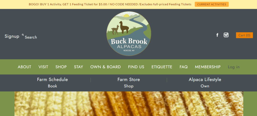 Homepage of Buck Brook Alpacas / buckbrookalpacas.com