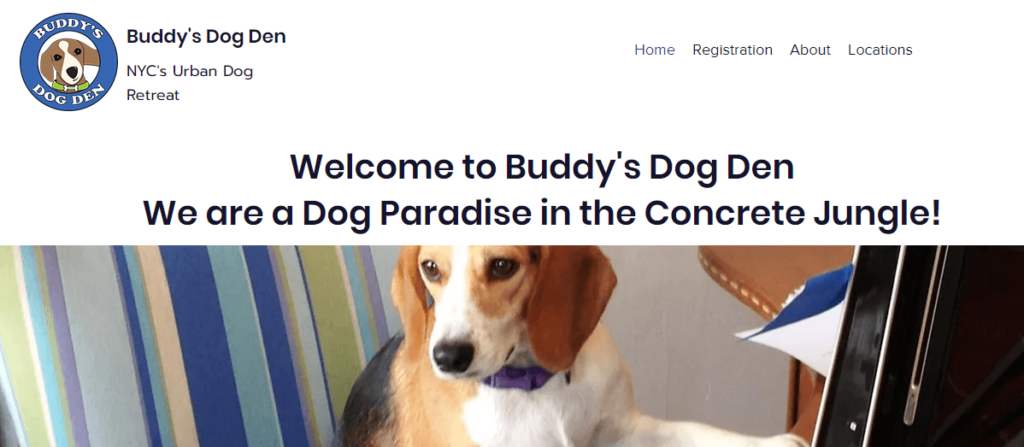 Homepage of the Buddy's Dog Den website /
Link: https://www.buddysdogden.com/