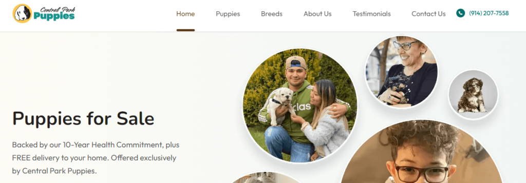 Homepage of the Central Park Puppies website /
Link: https://centralparkpuppies.com/