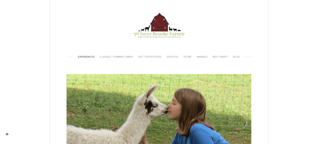 Homepage of  Clover Brooke Farm Llama Alpaca Hikes / cloverbrookefarm.com