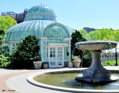Conservatory at Brooklyn Botanical Garden / Flickr / P.L.Tandon
Link: https://flic.kr/p/2gebyMp 
