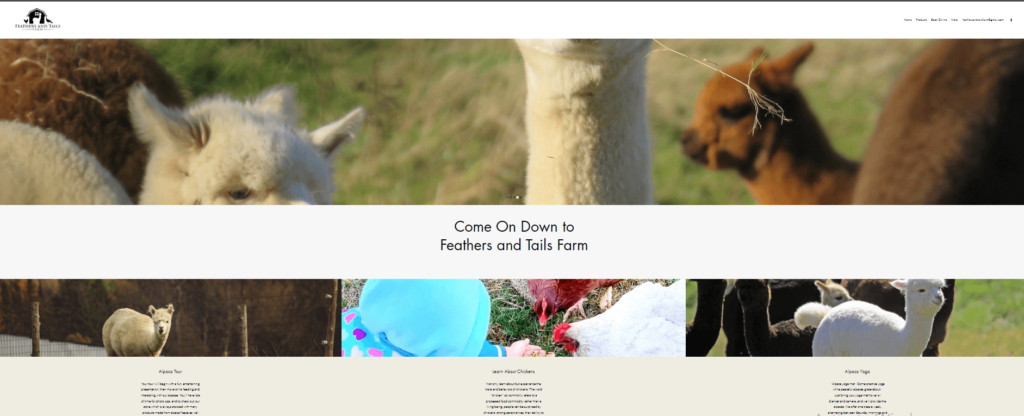Homepage of Feathers and Tails Farm / feathersandtailsfarm.com