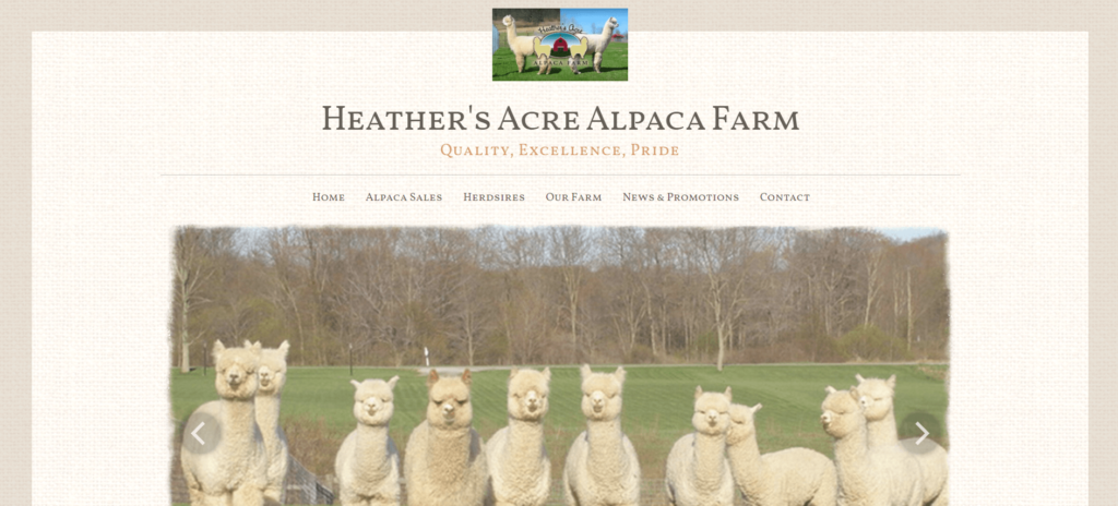 Homepage of Heather's Acre Alpaca Farm / heathersacrealpacafarm.com