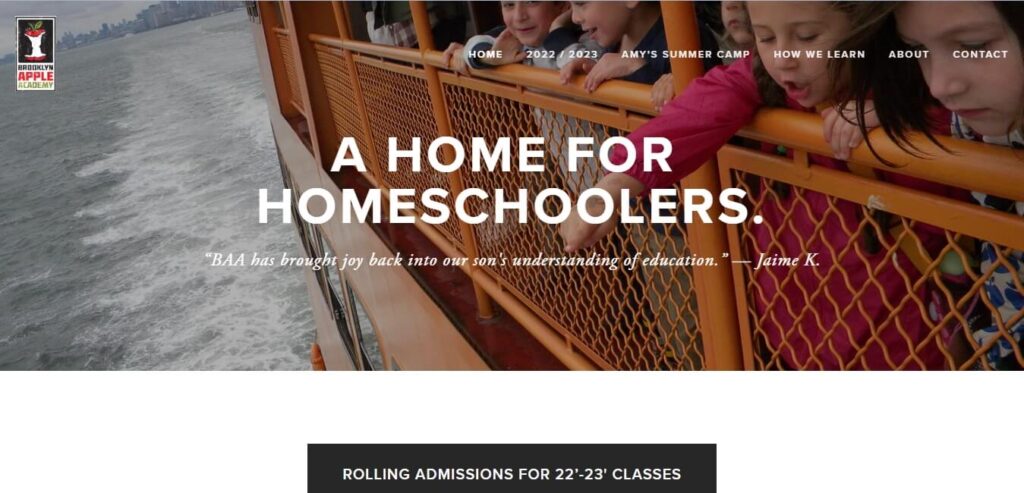 Homepage of Brooklyn Apple Academy / Link: https://www.brooklynappleacademy.org/