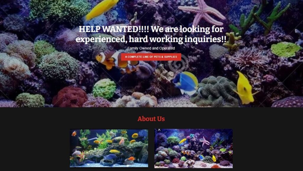 Homepage of Brooklyn Zoo and Aquarium / Link: https://brooklynzoo.shop/