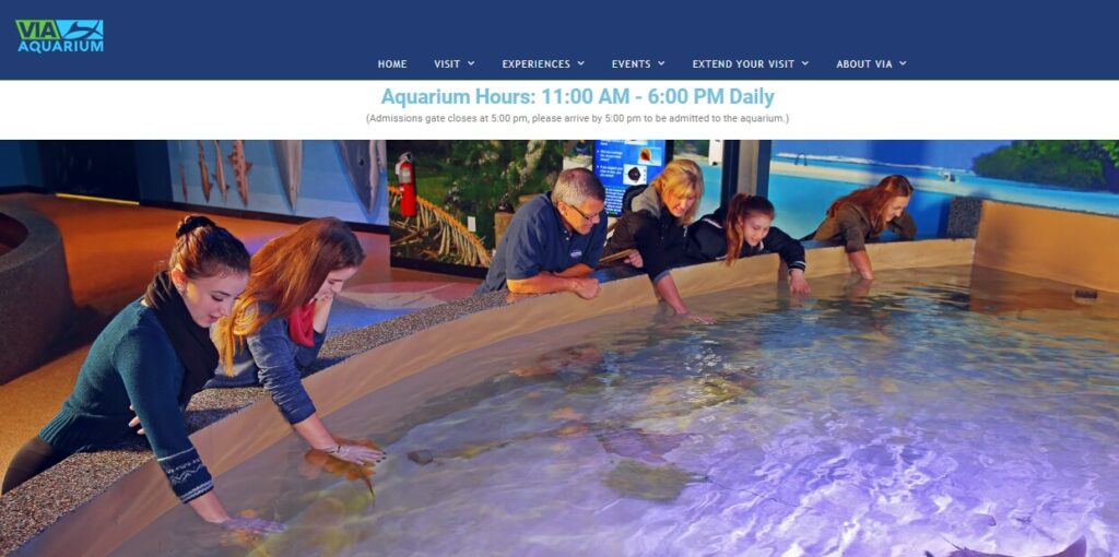 Homepage of VIA Aquarium / Link: https://viaaquarium.com/