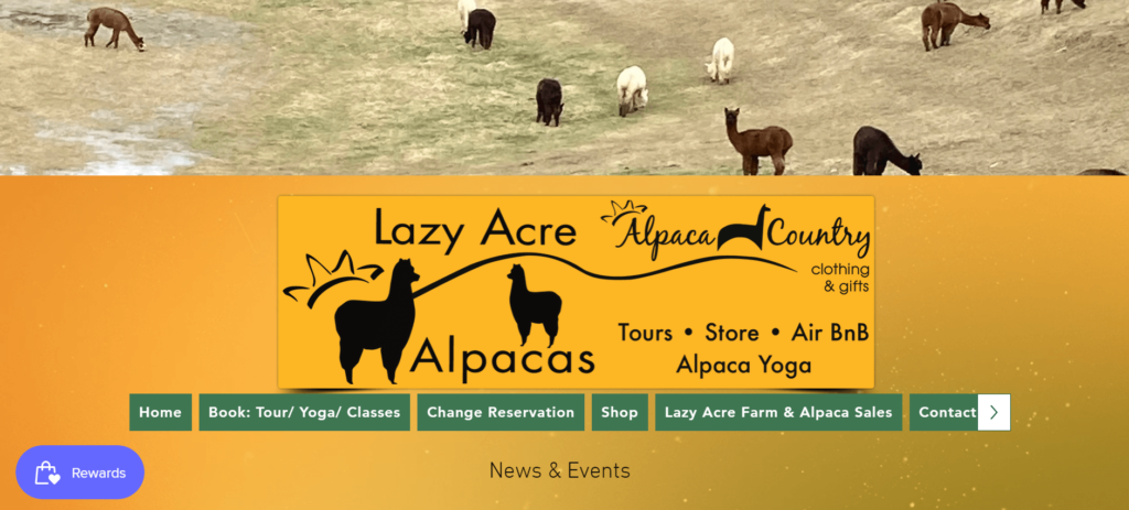 Homepage of Lazy Acre Alpacas / lazyacrealpacas.com/