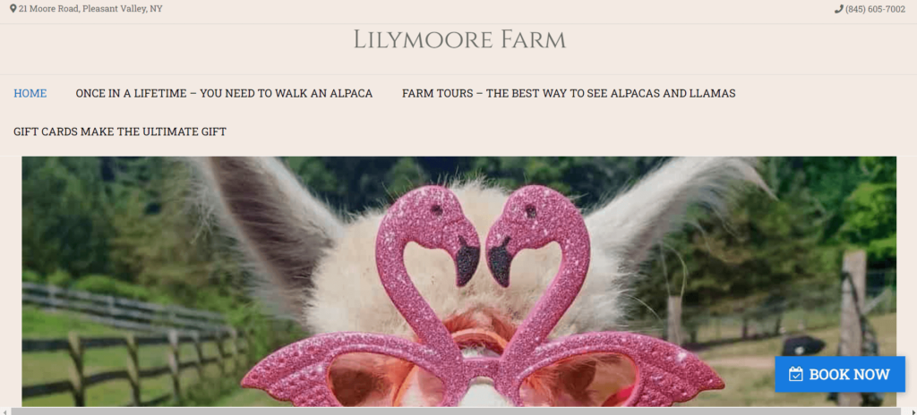 Homepage of Lilymoore Alpaca Farm / lilymoorefarm.com