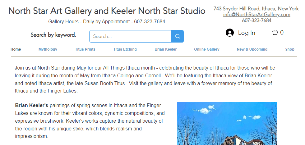 Homepage of the North Star Art Gallery website /
Link: https://www.northstarartgallery.com/