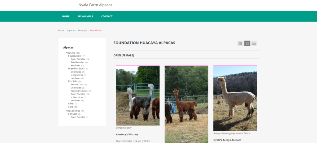 Homepage of Nyala Alpaca Farm / nyalafarmalpacas.myopenherdwebsite.com