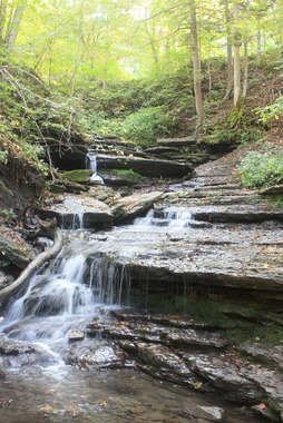Pixley Falls Nature Trail / Flickr / Anne White
Link: https://www.flickr.com/photos/annabanana74/21008149728/in/photolist-y1qg15-yiGK3B-y1oi3s-y1oUXJ-xkZxfy-yfGjdj-yi1zC8-yh7VU1-y1nXqw-y1nLed-yi2ina-yiHFNZ-xm786M-y1vX4x-xkYNsj-yi19N8-yh6hdS-yfH53d-y1w2oe-y1qnGm-y1pNnL-xkZPDA-yh74WA-yiH7U2-xm85wX-y1pH9G-yi178i-y1nUDE-xma2C6-yiJTwB-yi3fPc-y1qYH3-xmauXM-xm19fU-xYSkMY-xJFnA6-x5aFBj-x5aTEY-xYS9Uf-y2RJiD-xJA62U-y2c3oP-xJFJcB-x5iELz-yiKaMH-y1rBD7-yiK3PK-y1wPu2-yh84c7-y1q4Z9