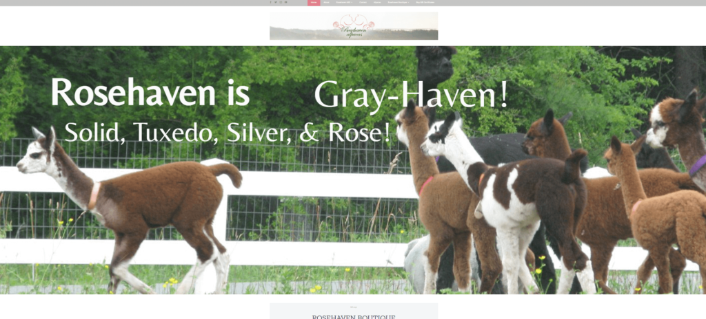 Homepage of Rosehaven Alpacas / rosehavenalpacas.com