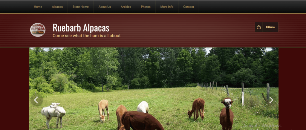 Homepage of Ruebarb Alpacas / ruebarbalpacas.com
