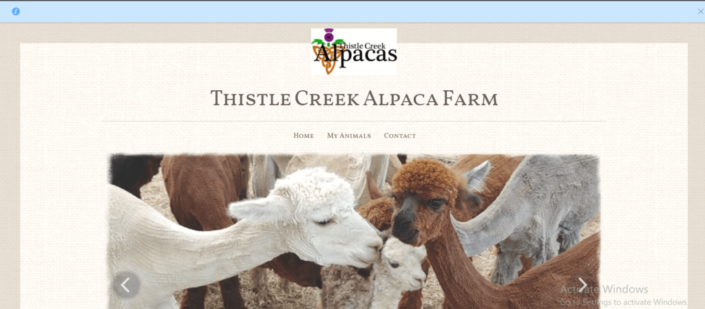Homepage of Thistle Creek Alpaca Farm / thistlecreekalpacas.com