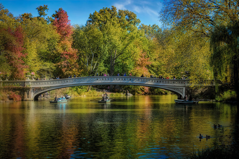 Relaxing View of the Bridge at the Central Park / Flickr / Diana Robinson
Link: https://flickr.com/photos/dianasch/50407919988