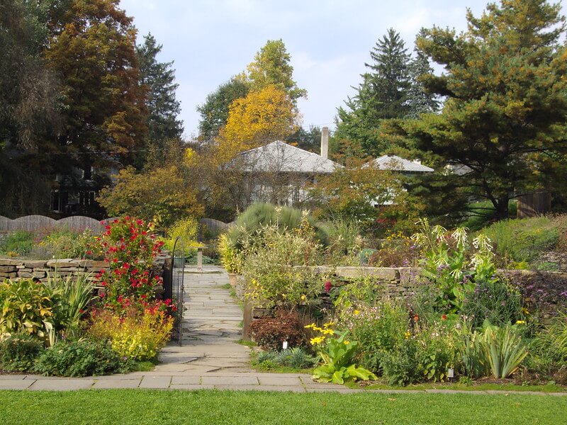 Flowery Garden at Cornell Botanic Gardens / Flickr / denisbin
Link: https://flickr.com/photos/82134796@N03/9848279636